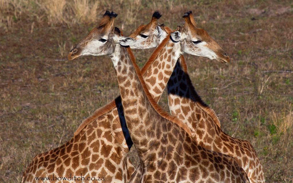 Rain Farm Game Lodge Umhlali Bagian luar foto