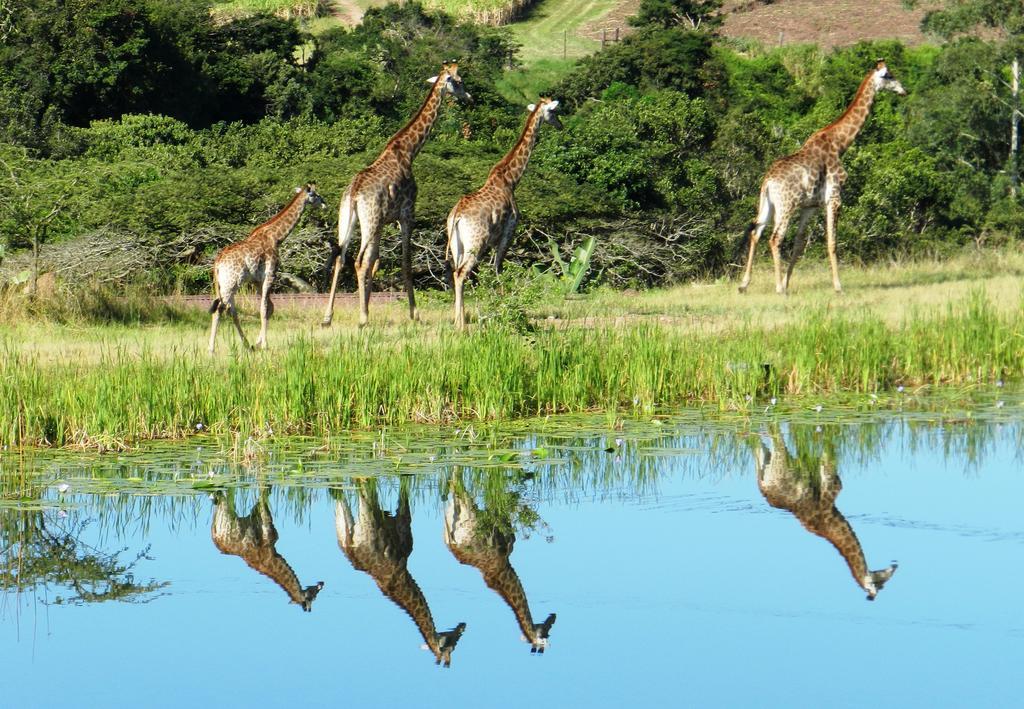 Rain Farm Game Lodge Umhlali Bagian luar foto