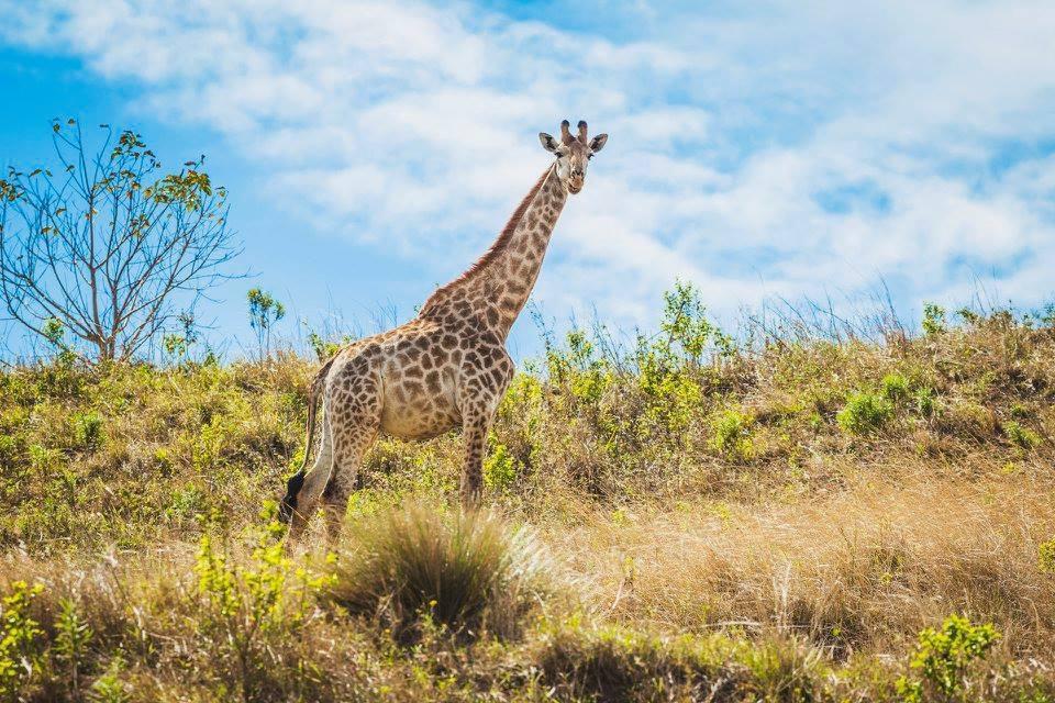 Rain Farm Game Lodge Umhlali Bagian luar foto